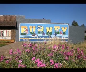 Hand Painted Mural